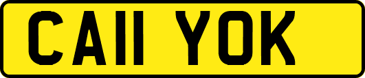 CA11YOK