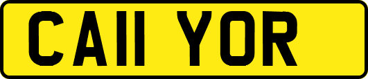 CA11YOR