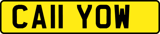 CA11YOW
