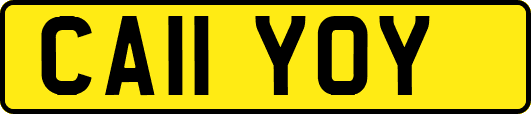 CA11YOY