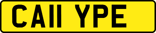 CA11YPE