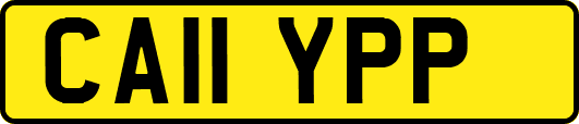 CA11YPP