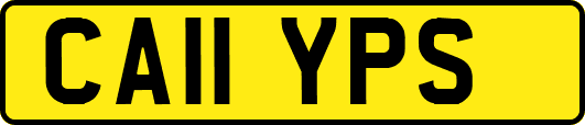 CA11YPS