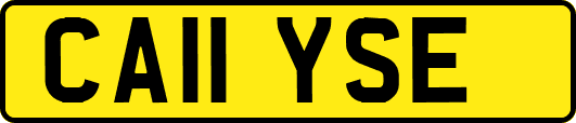 CA11YSE
