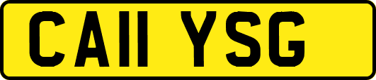 CA11YSG