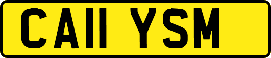CA11YSM