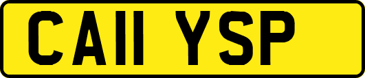 CA11YSP