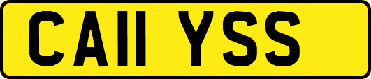 CA11YSS