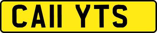 CA11YTS