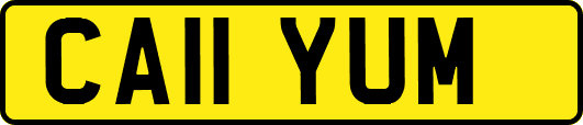 CA11YUM