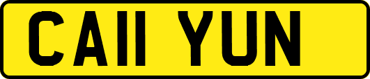CA11YUN