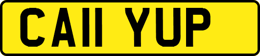 CA11YUP