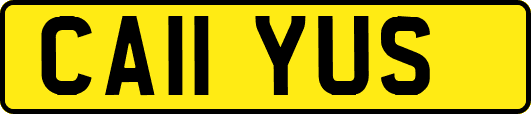 CA11YUS