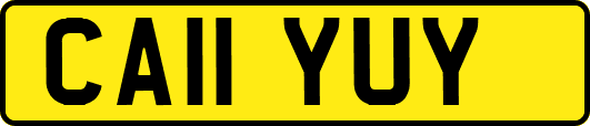 CA11YUY