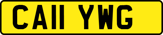 CA11YWG