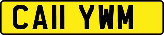 CA11YWM
