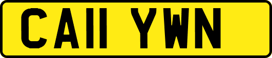 CA11YWN