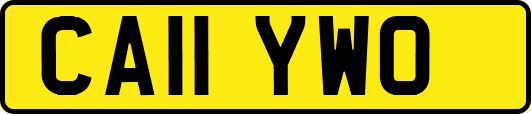 CA11YWO