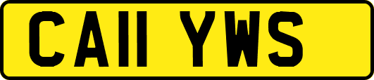 CA11YWS