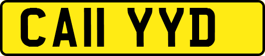 CA11YYD