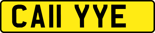CA11YYE