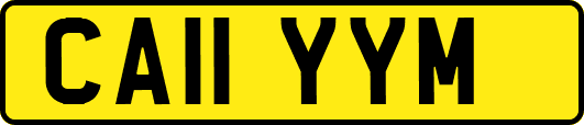 CA11YYM