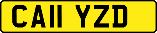 CA11YZD