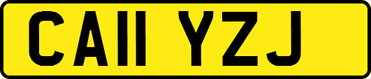 CA11YZJ
