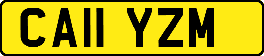 CA11YZM