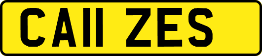 CA11ZES