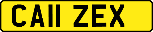 CA11ZEX