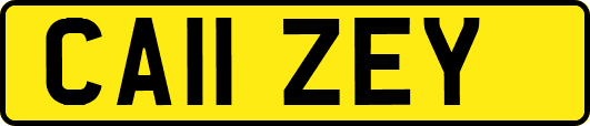 CA11ZEY