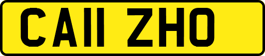 CA11ZHO