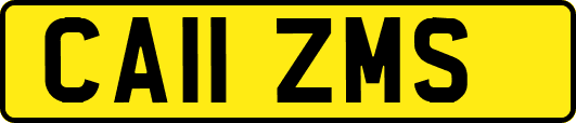 CA11ZMS