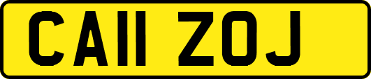 CA11ZOJ