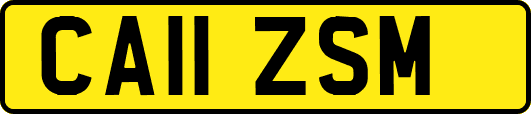 CA11ZSM