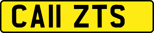 CA11ZTS