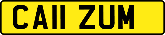 CA11ZUM