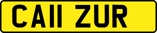 CA11ZUR