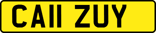 CA11ZUY