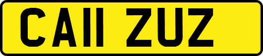 CA11ZUZ