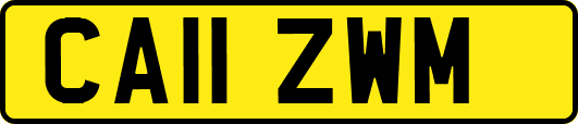 CA11ZWM