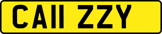 CA11ZZY