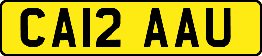 CA12AAU