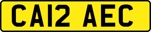 CA12AEC