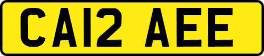 CA12AEE
