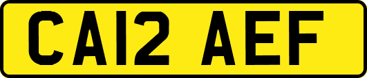 CA12AEF