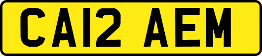 CA12AEM