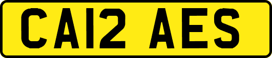 CA12AES
