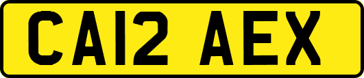 CA12AEX